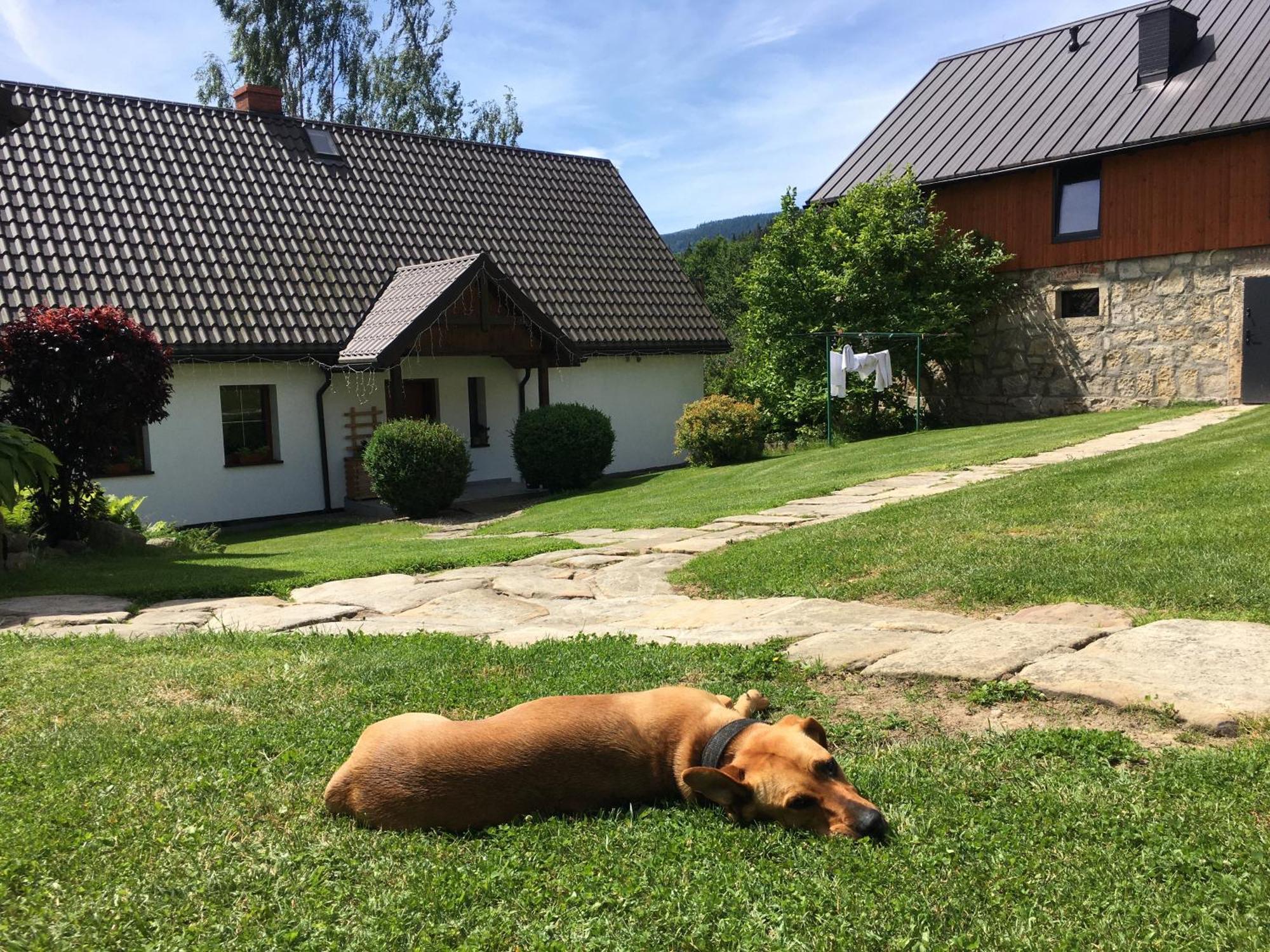 Agroturystyka Ostoja Polanica-Zdroj Luaran gambar